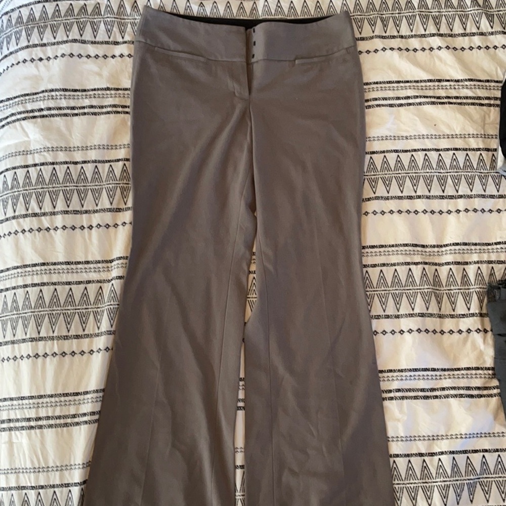 Express dress pants